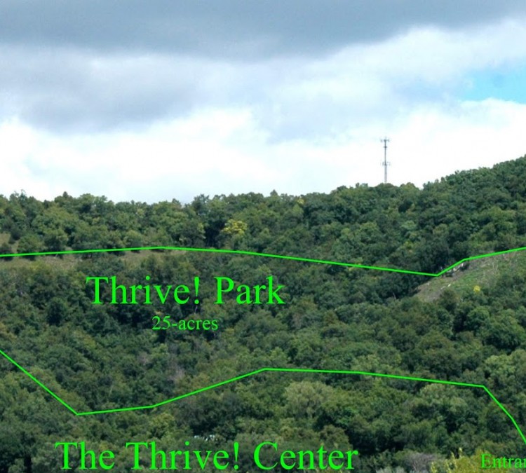 thrive-park-photo